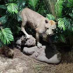 Museo de la Tierra Guaraní - Ciudad del Este