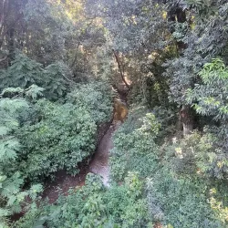 Parque Lineal - Ciudad del Este