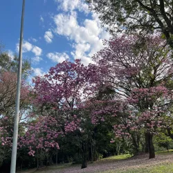 Parque Lineal - Ciudad del Este