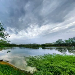 Parque Ñu Guasu - Ciudad del Este
