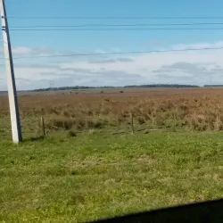 Parque Municipal - Coronel Oviedo