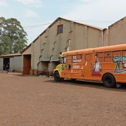 Ruta de la Yerba Mate - Coronel Oviedo