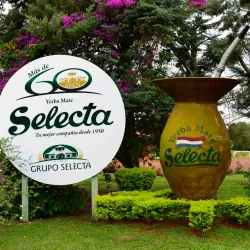 Ruta de la Yerba Mate - Coronel Oviedo
