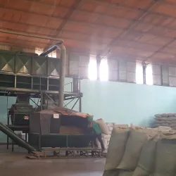 Ruta de la Yerba Mate - Coronel Oviedo