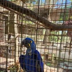 La Mburicaó Zoo - Encarnacion