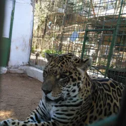 La Mburicaó Zoo - Encarnacion