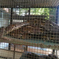 La Mburicaó Zoo - Encarnacion