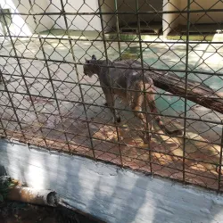 La Mburicaó Zoo - Encarnacion