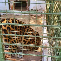 La Mburicaó Zoo - Encarnacion