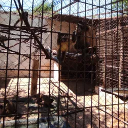 La Mburicaó Zoo - Encarnacion