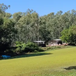 Parque Ñu Guasu - Limpio