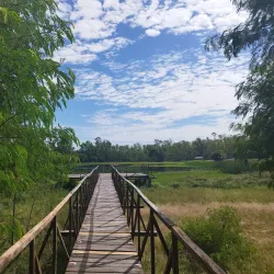 Parque Ñu Guasu - Limpio