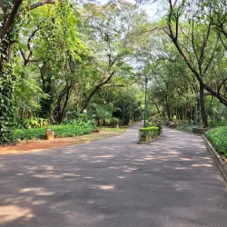 Parque de la Salud - Luque