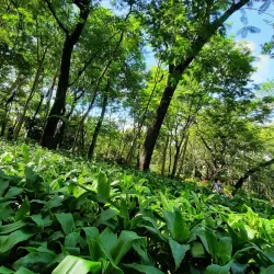 Parque de la Salud - Luque