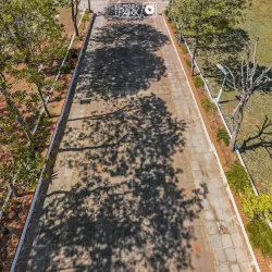 Parroquia San Pedro Apóstol - Luque