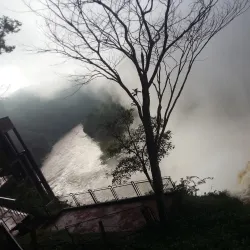 Mercado Municipal de Presidente Franco - Presidente Franco