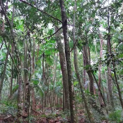Museo de la Ciudad de Presidente Franco - Presidente Franco