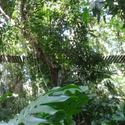 Museo de la Ciudad de Presidente Franco - Presidente Franco