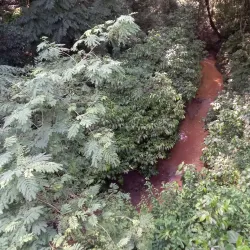 Parque Lineal - Presidente Franco