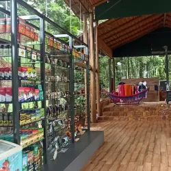 Saltos del Monday - Presidente Franco