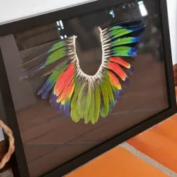 Craft Workshops - San Antonio