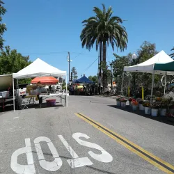 Historic Town Center - San Antonio