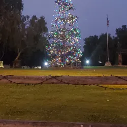 Historic Town Center - San Antonio