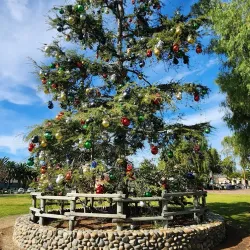 Historic Town Center - San Antonio