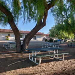 Historic Town Center - San Antonio