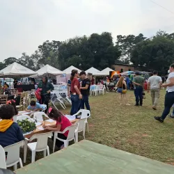 Local Festivals and Events - San Antonio