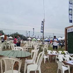 Local Festivals and Events - San Antonio