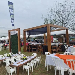 Local Festivals and Events - San Antonio