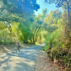 Nearby Hiking Trails - San Antonio