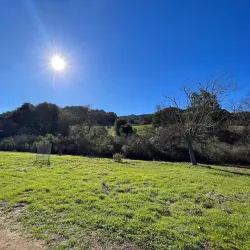 Nearby Hiking Trails - San Antonio