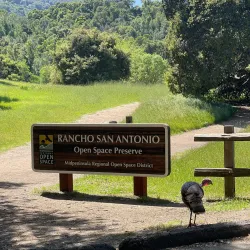 Nearby Hiking Trails - San Antonio