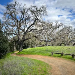 Nearby Hiking Trails - San Antonio