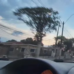 Parque Municipal de San Antonio - San Antonio