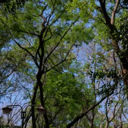 Parque de la Salud - San Lorenzo