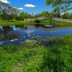 Parque Ñu Guasu - San Lorenzo