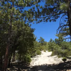 Parque Nacional San Pedro - San Pedro de Ycuamandiyú