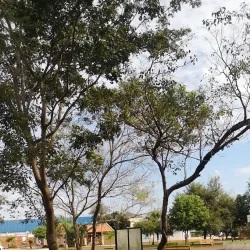 Plaza Central de Santa Rita - Santa Rita