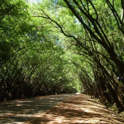 Reserva Natural del Paraná - Santa Rita