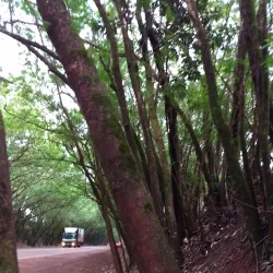 Reserva Natural del Paraná - Santa Rita