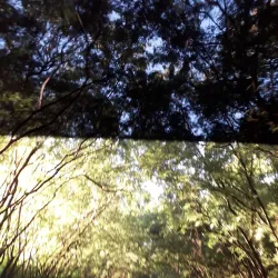 Reserva Natural del Paraná - Santa Rita