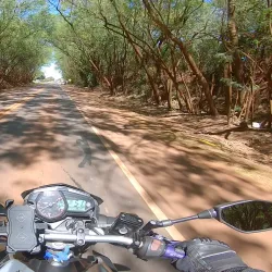 Reserva Natural del Paraná - Santa Rita