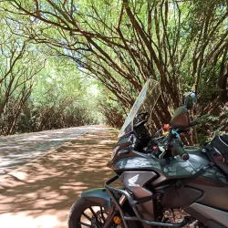 Reserva Natural del Paraná - Santa Rita