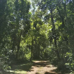 Reserva Natural del Paraná - Santa Rita