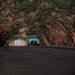 Reserva Natural del Paraná - Santa Rita