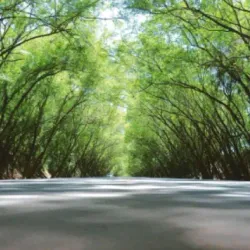 Reserva Natural del Paraná - Santa Rita