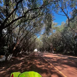 Reserva Natural del Paraná - Santa Rita